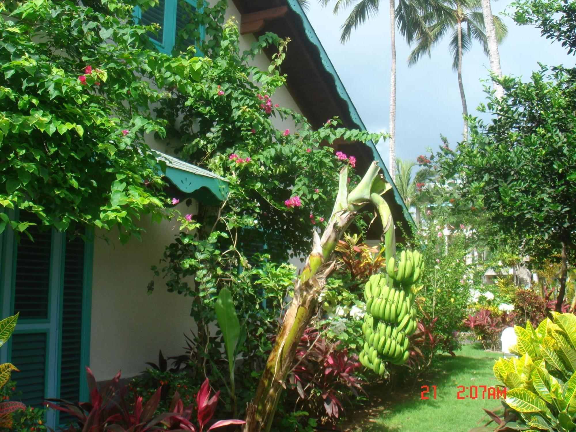 Hotel Playa Colibri ลาสแตร์เรนาส ภายนอก รูปภาพ
